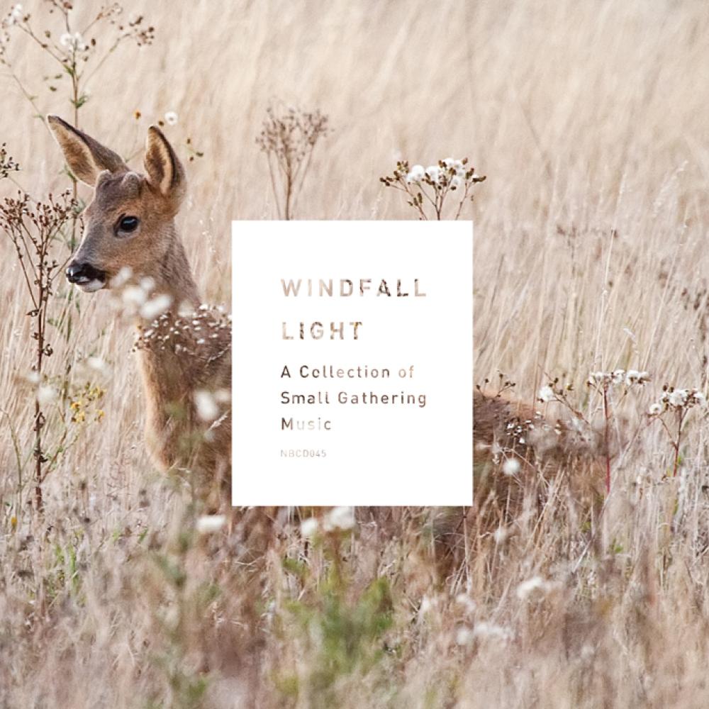 Windfall Light